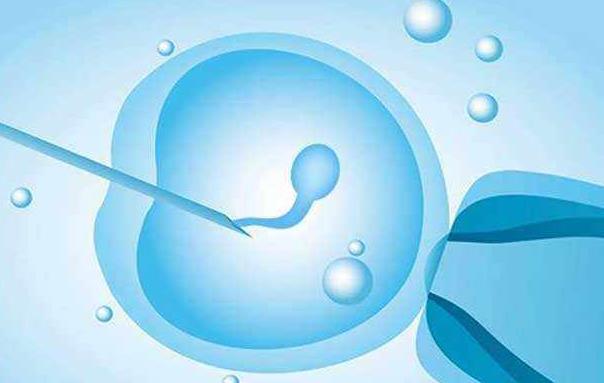 试管胚胎移植位置有讲究大多数情况下会放置在内膜之中