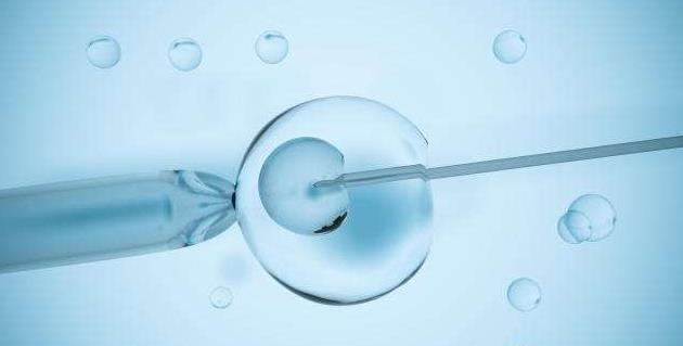 高龄试管如何提高卵子质量卵子质量差如何提高试管成功率